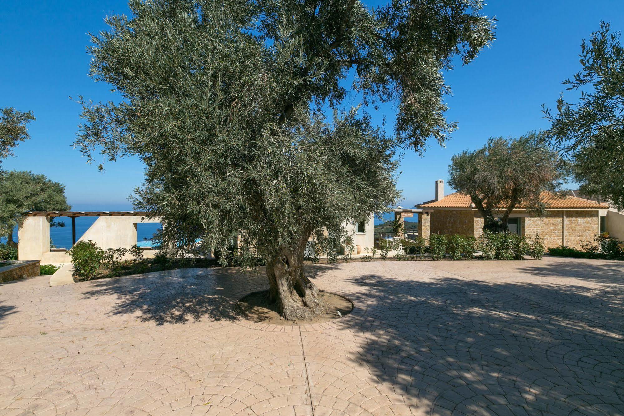 Olivia'S Villas Of Luxury Kalivia  Eksteriør billede